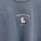 Embroidered Bunny Shirt, Comfort Colors Rabbit T-Shirt, It's Dangerous To Go Alone Take This, Cute Bunny Shirt, Casual Shirt, Gym Shirt, Zelda Phrase
